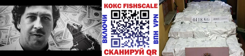 Кокаин Fish Scale  hydra ТОР  Луза  где можно купить наркотик 