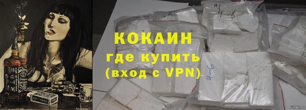 дживик Пересвет