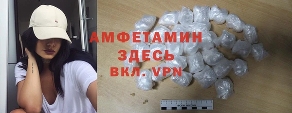шишки Пестово