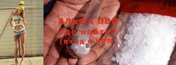 гашик Осташков