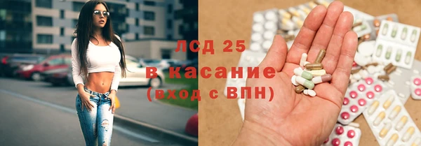 гашик Осташков