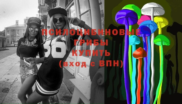гашик Осташков