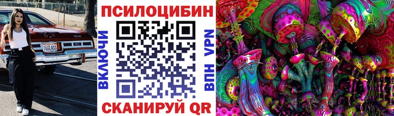 где можно купить наркотик МЕГА tor Галлюциногенные грибы GOLDEN TEACHER Луза